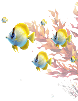 Peces-amarillos-con-plantas